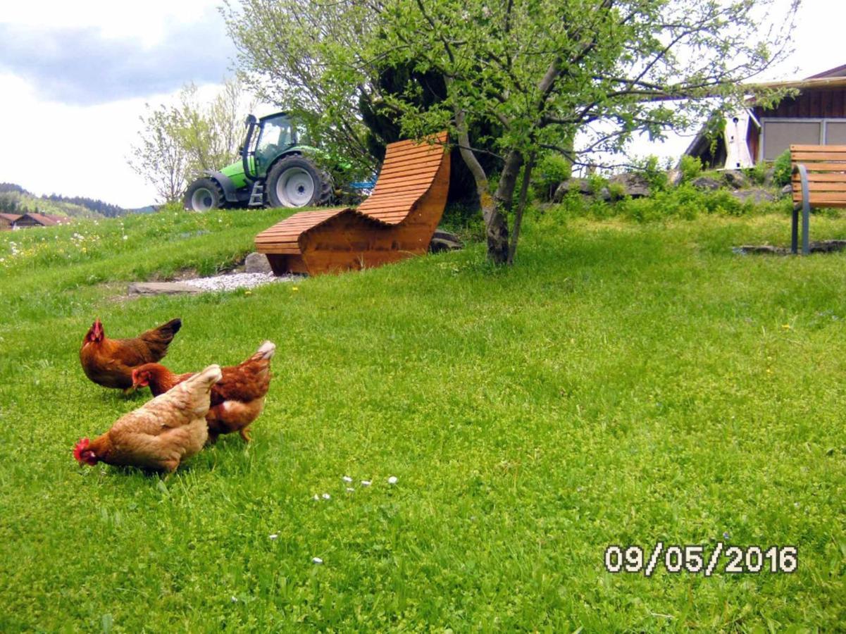 شقة Ferienbauernhof Koepf Füssen المظهر الخارجي الصورة